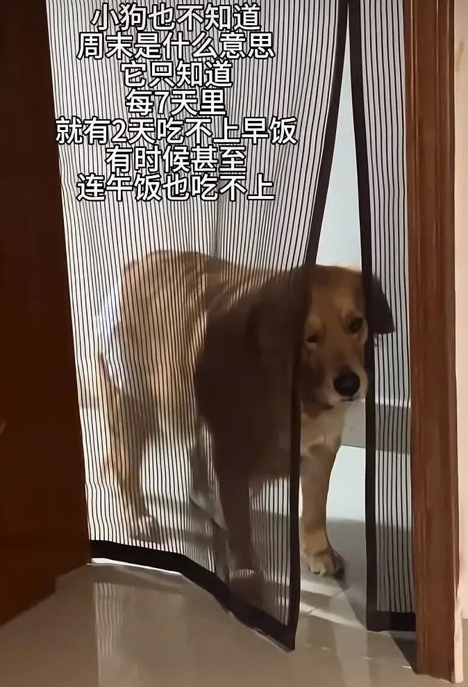 【爆笑】“约会到一半鞋子突然裂开了......”啊啊啊啊不敢睁开眼(组图) - 44