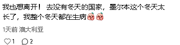 过不下去了！澳洲夫妇带娃永久离开澳洲！澳华人：我也想离开（组图） - 7