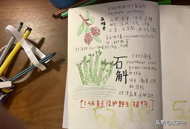 原来他就是姚晨的儿子，五官酷似爸爸，12岁身怀绝技成为她的骄傲（组图） - 7