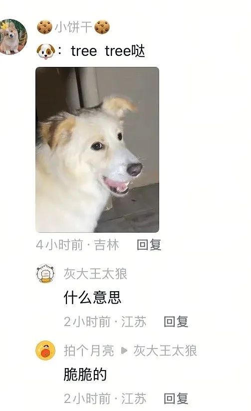 【爆笑】“约会到一半鞋子突然裂开了......”啊啊啊啊不敢睁开眼(组图) - 83