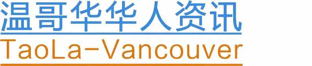 美国模特身穿“隐形上衣“登机，乘客纷纷投来惊讶目光，网友怒批：飞机不是T台（组图） - 26