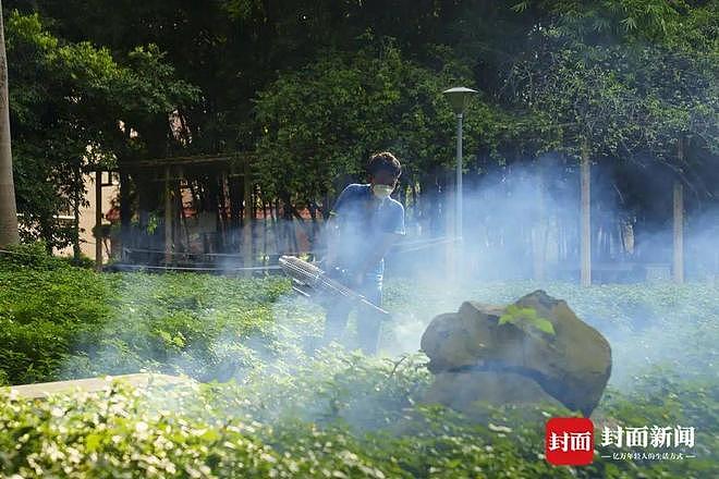 确诊超3000例！探访基孔肯雅热定点医院：患者称疼得“无法下地行走”（组图） - 5