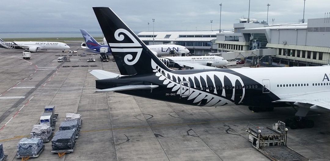 中国夫妇入境新西兰！海关开箱一查，大吃一惊！当场罚2万多纽币！老大爷血压飙高…（组图） - 1