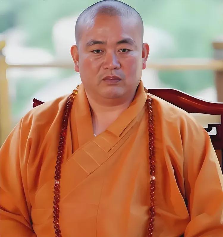 曝释永信被带走调查，1件袈裟16万，1串佛珠过亿，他到底多有钱？（组图） - 13