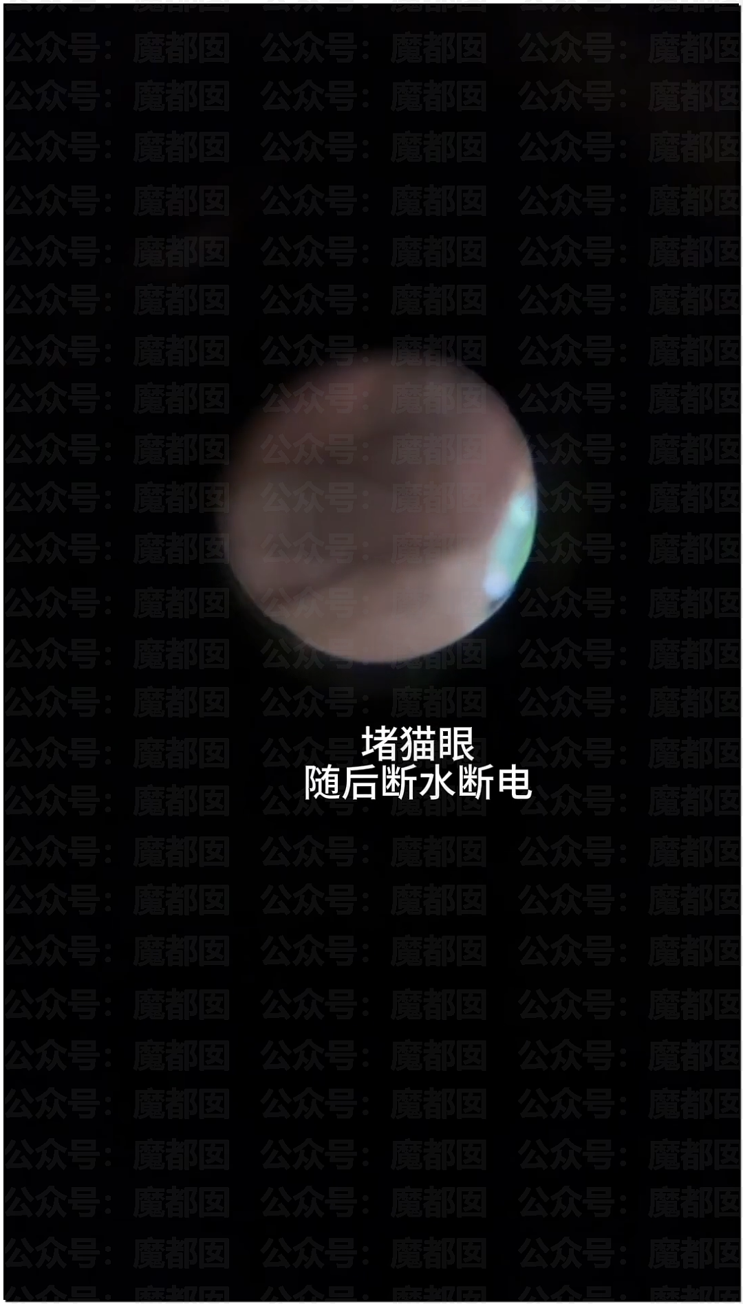 热搜第一！堵门、辱骂、打人…旺仔小乔被前员工同事曝光真身（视频/组图） - 15