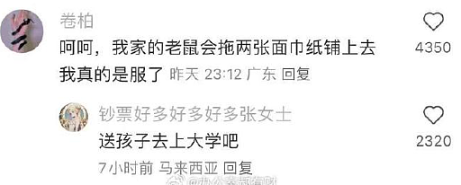 【爆笑】晒了一张男朋友的聊天截图，评论都说我被绿了？网友惊呆：这眼睛比显微镜还强！（组图） - 59