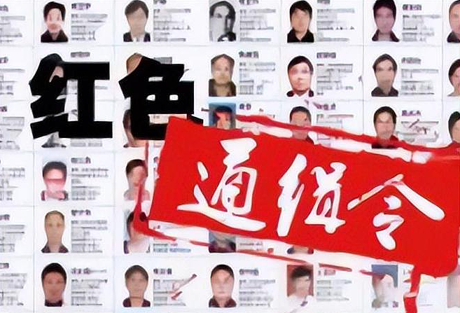 改名逃到美国，中国“红通犯”尔湾落网！涉诈骗4700人卷走15亿（组图） - 4