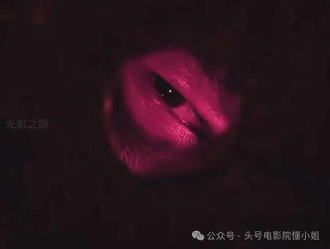 段奕宏《扫毒风暴》表演挨批!对比张译于和伟秦昊,差距一目了然(组图) - 12