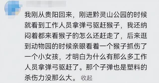 游客辱骂驱猴大爷后续:更多本地人发声,男子身份被扒,账号被骂到私密(视频/组图) - 12