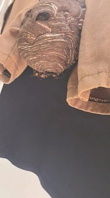 【爆笑】因为一个“死亡芭比粉”的口红印,我爸妈闹离婚了!只有我知道我爸有多冤...(组图) - 27