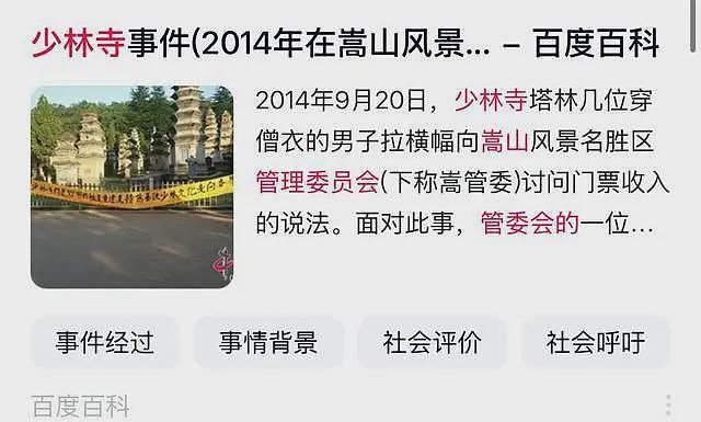 传释永信被带走，少林寺和嵩山景区管委会因分钱积怨已久（组图） - 6