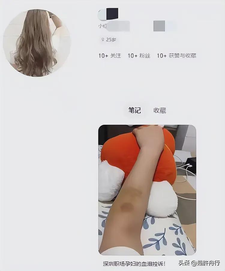 女子曝面试被打后续！涉事男被刑拘，老板黑料被扒，越扒越有（组图） - 42