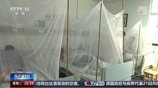基孔肯雅热疫情杀到深圳广州珠海,广东一周增近3千宗本地病例(组图) - 2