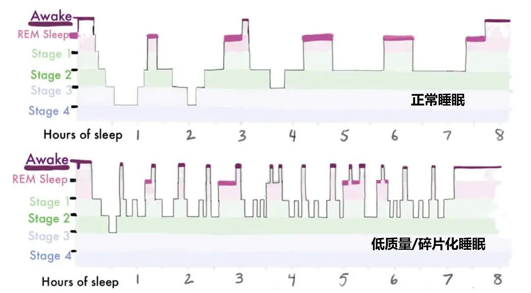 睡够8小时还是巨累，多半是因为这一个字（组图） - 2