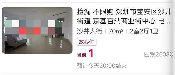 内地多地出现“1元起拍”房产，最多在这地方家具齐全拥无敌海景（组图） - 2