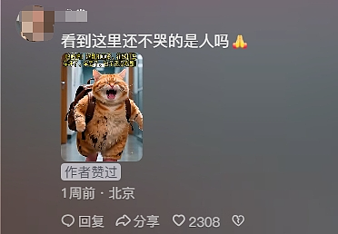 一夜爆火的AI“电子榨菜”,让同行无地自容(组图) - 9