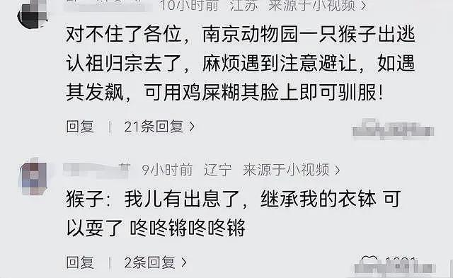 游客辱骂驱猴大爷后续:更多本地人发声,男子身份被扒,账号被骂到私密(视频/组图) - 21