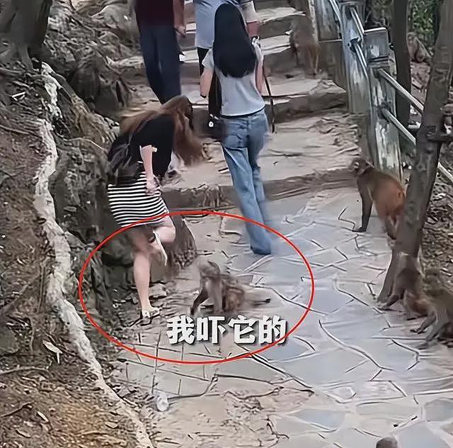 游客辱骂驱猴大爷后续:更多本地人发声,男子身份被扒,账号被骂到私密(视频/组图) - 10