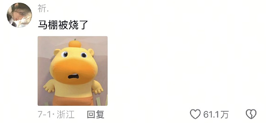 【爆笑】晒了一张男朋友的聊天截图，评论都说我被绿了？网友惊呆：这眼睛比显微镜还强！（组图） - 7