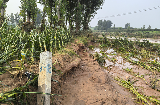 直击河北易县暴雨：“一天下完了一年的雨”（组图） - 5