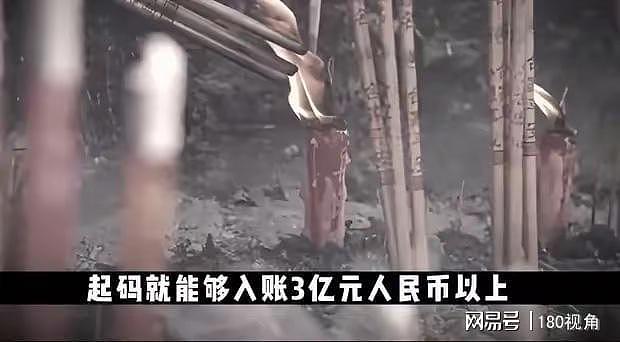 释永信被查,曾斥巨资在澳洲建分寺和四星级酒店!多次被曝娶妻生子国外买地(组图) - 10