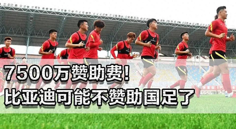 抵制比亚迪逼停国足赞助？董路揭穿真相：有人就想看着国足烂到底（组图） - 1