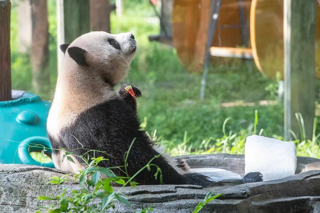 热射病来袭,高温下脆弱的人(组图) - 15