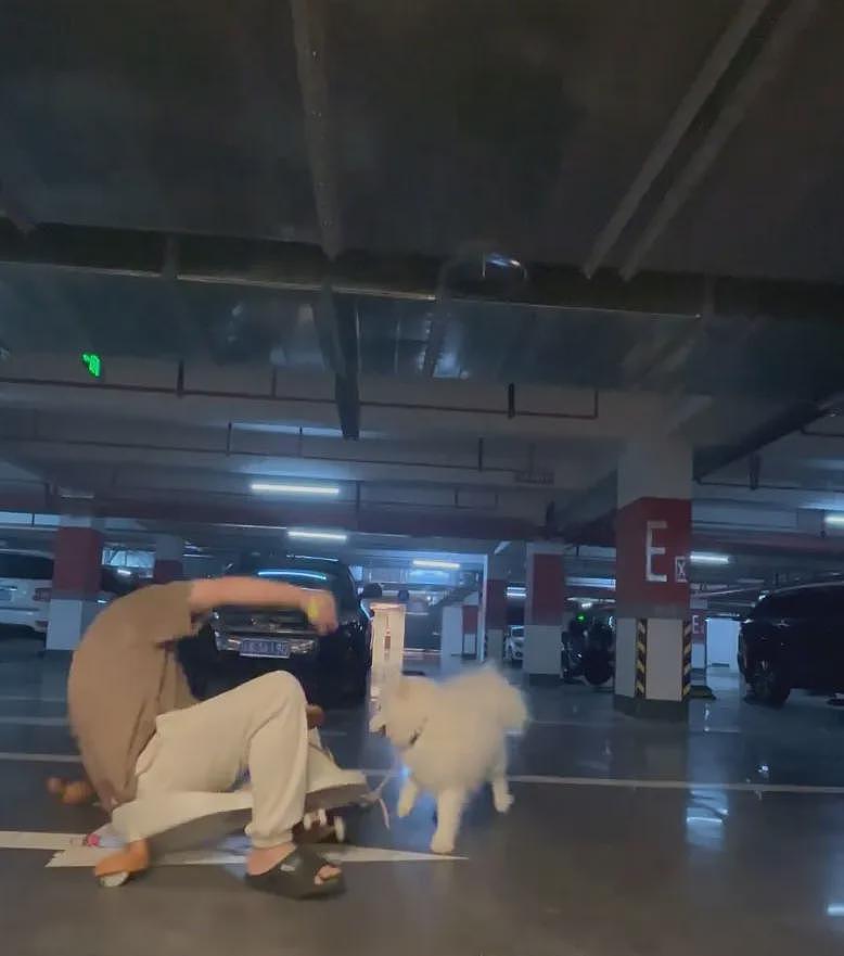 【宠物】狗子在街上跟猪仔撞衫，对血统一脸怀疑，没想到有狗已经“入赘”猪门了…（组图） - 8