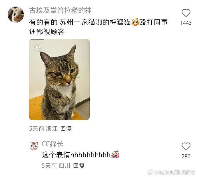 【爆笑】花2300w装修房子，结果被吐槽说像足浴城？网友夺笋：有钱人的钱那么好赚吗？（组图） - 9