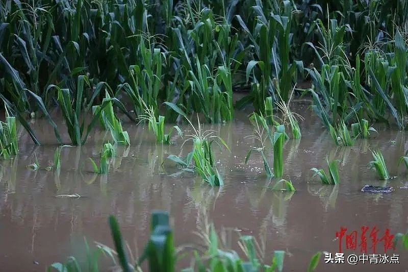 直击北京密云水库泄洪，历史最大入库洪峰（视频/组图） - 5