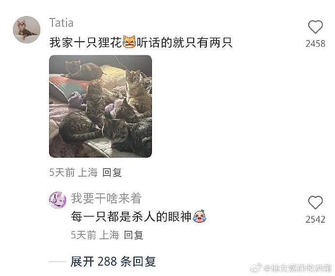 【爆笑】花2300w装修房子，结果被吐槽说像足浴城？网友夺笋：有钱人的钱那么好赚吗？（组图） - 7