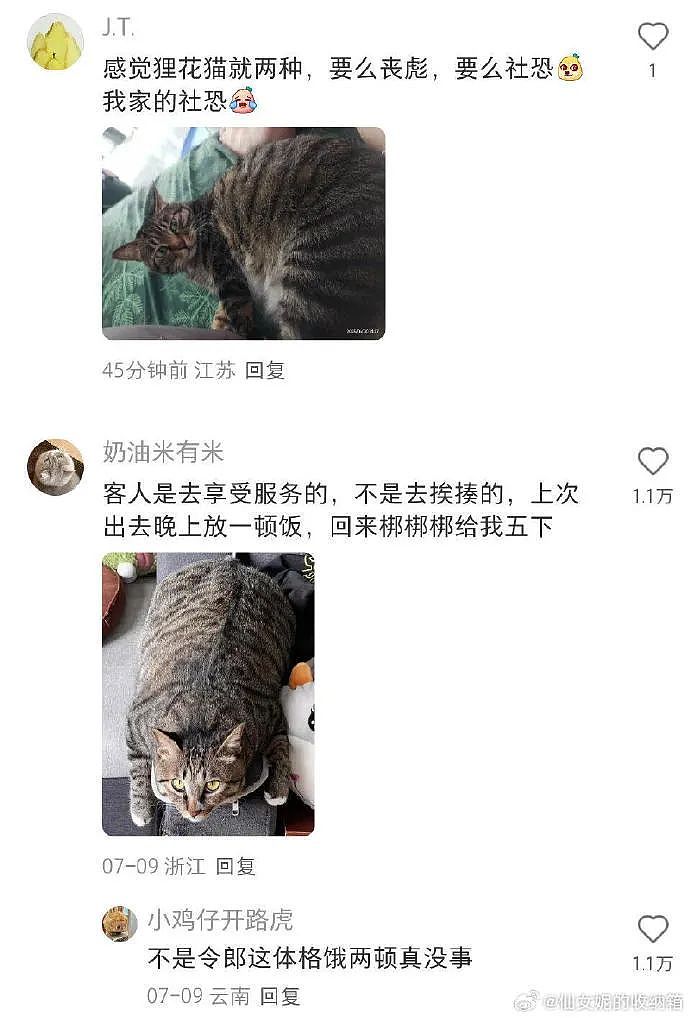 【爆笑】花2300w装修房子，结果被吐槽说像足浴城？网友夺笋：有钱人的钱那么好赚吗？（组图） - 10