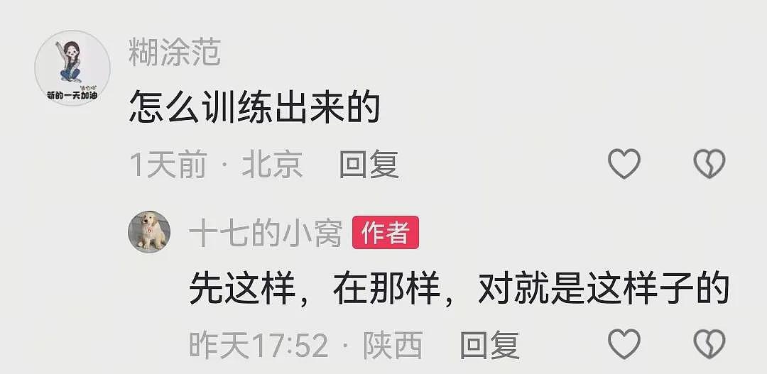 【宠物】狗子在街上跟猪仔撞衫，对血统一脸怀疑，没想到有狗已经“入赘”猪门了…（组图） - 15