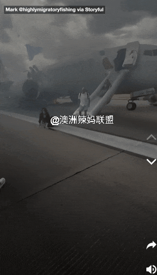 突发,墨尔本机场波音737撞了,机身巨大裂口!另一架737浓烟滚滚,数百乘客逃命(组图) - 5