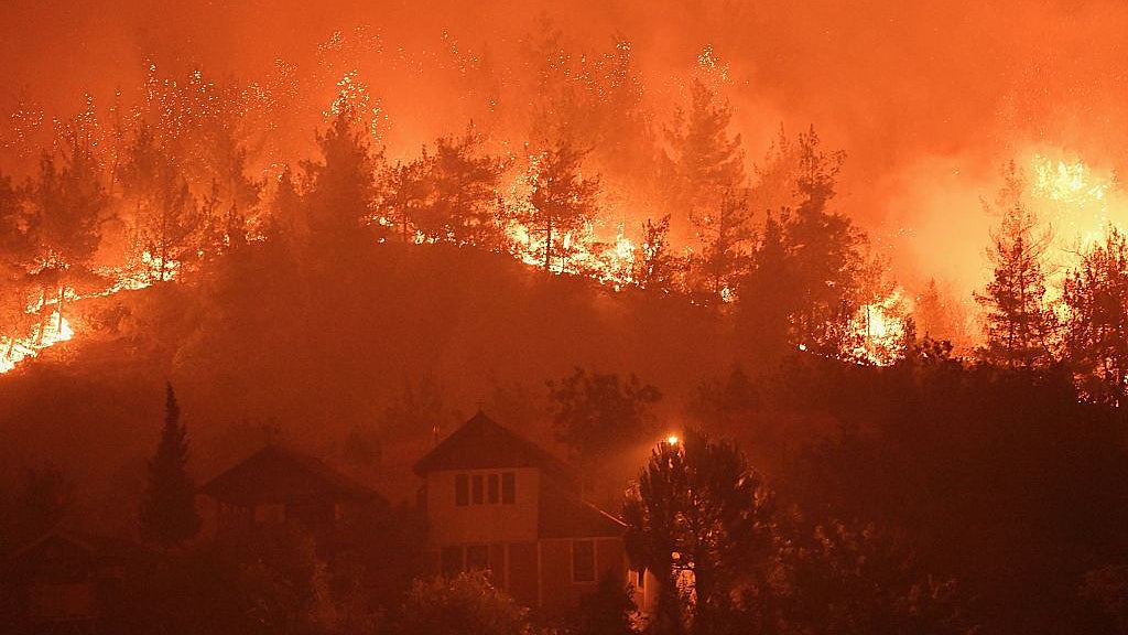 韩国连日酷热11死!土耳其录破纪录50度,多地山火至少10死(视频/组图) - 3