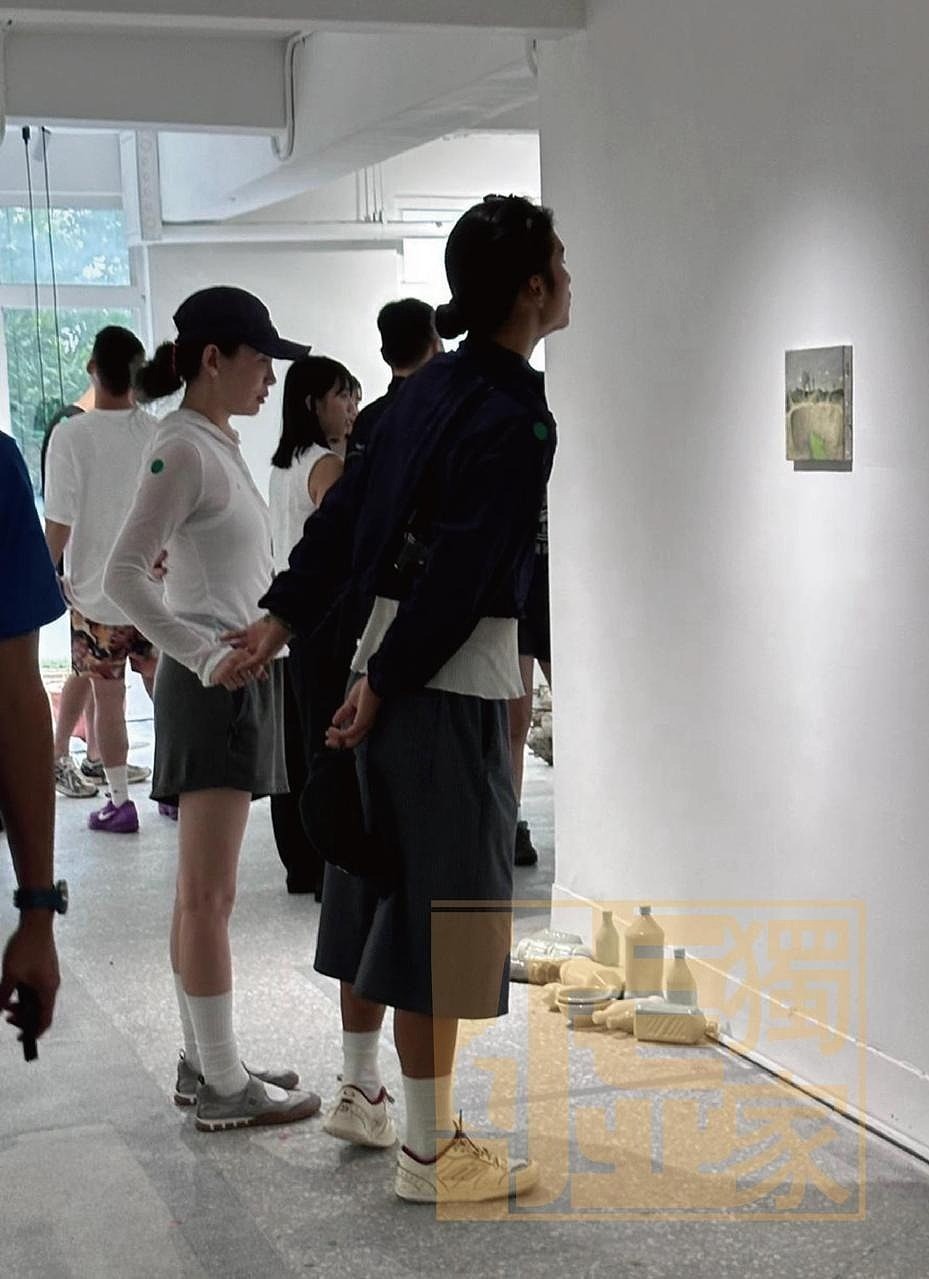 42岁歌后魏如萱官宣与小21岁网红恋情，否认插足当小三，牵手男友撒狗粮（组图） - 8