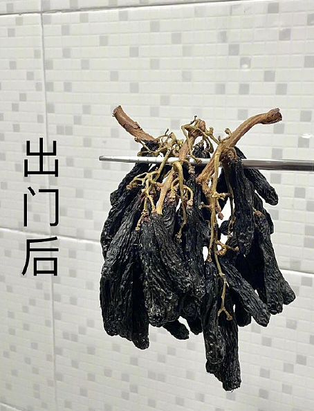 【爆笑】花2300w装修房子，结果被吐槽说像足浴城？网友夺笋：有钱人的钱那么好赚吗？（组图） - 34