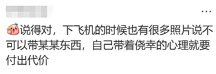 华人来澳，刚下飞机就被罚近$4000！只因带了这种常见的物品（组图） - 3
