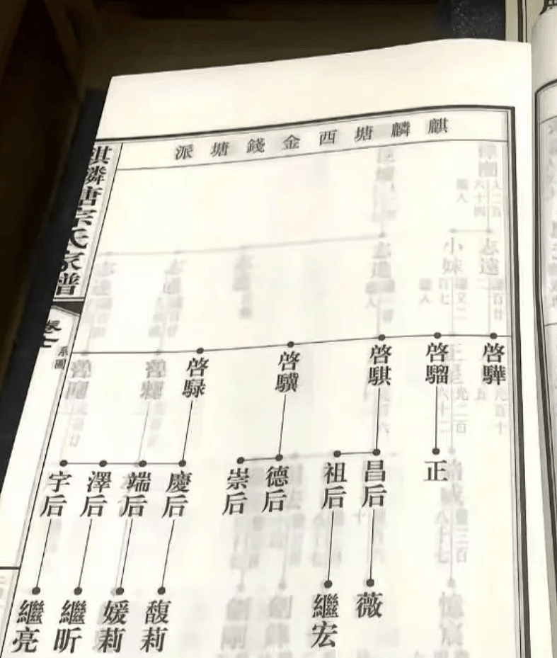 宗馥莉被曝已到达香港！为8月份的官司做准备（组图） - 6