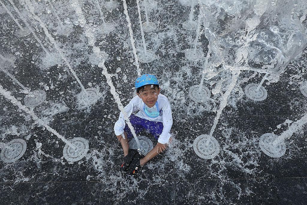 韩国连日酷热11死!土耳其录破纪录50度,多地山火至少10死(视频/组图) - 6
