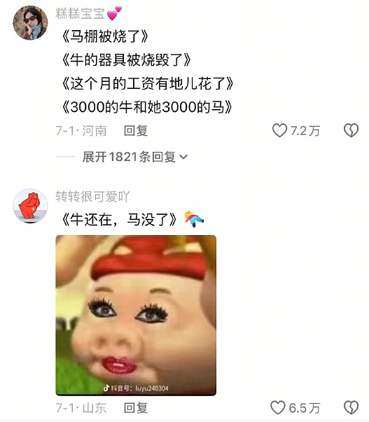 【爆笑】晒了一张男朋友的聊天截图，评论都说我被绿了？网友惊呆：这眼睛比显微镜还强啊（组图） - 10