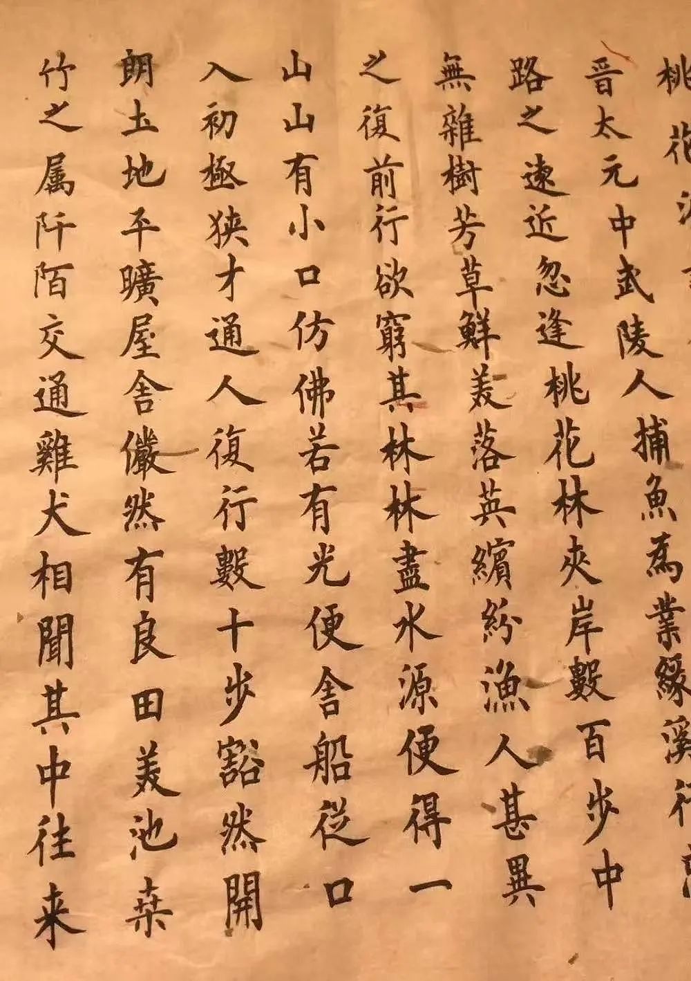 被骂4年，她登顶亚洲（组图） - 18