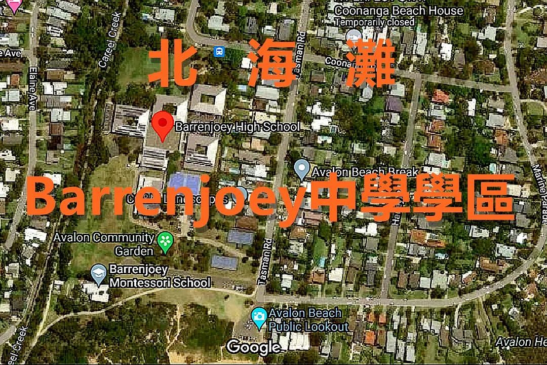 赚翻啦？悉尼学区房价暴涨！有人愿意多出几十万，换取好的入学机会...（组图） - 5