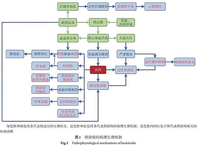 热射病来袭,高温下脆弱的人(组图) - 3