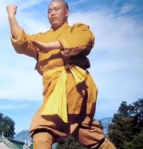 少林寺CEO释永信其人——佛与魔皆在一念之间(组图) - 24