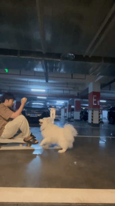 【宠物】狗子在街上跟猪仔撞衫，对血统一脸怀疑，没想到有狗已经“入赘”猪门了…（组图） - 5
