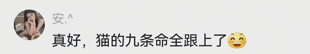 【宠物】狗子在街上跟猪仔撞衫，对血统一脸怀疑，没想到有狗已经“入赘”猪门了…（组图） - 10