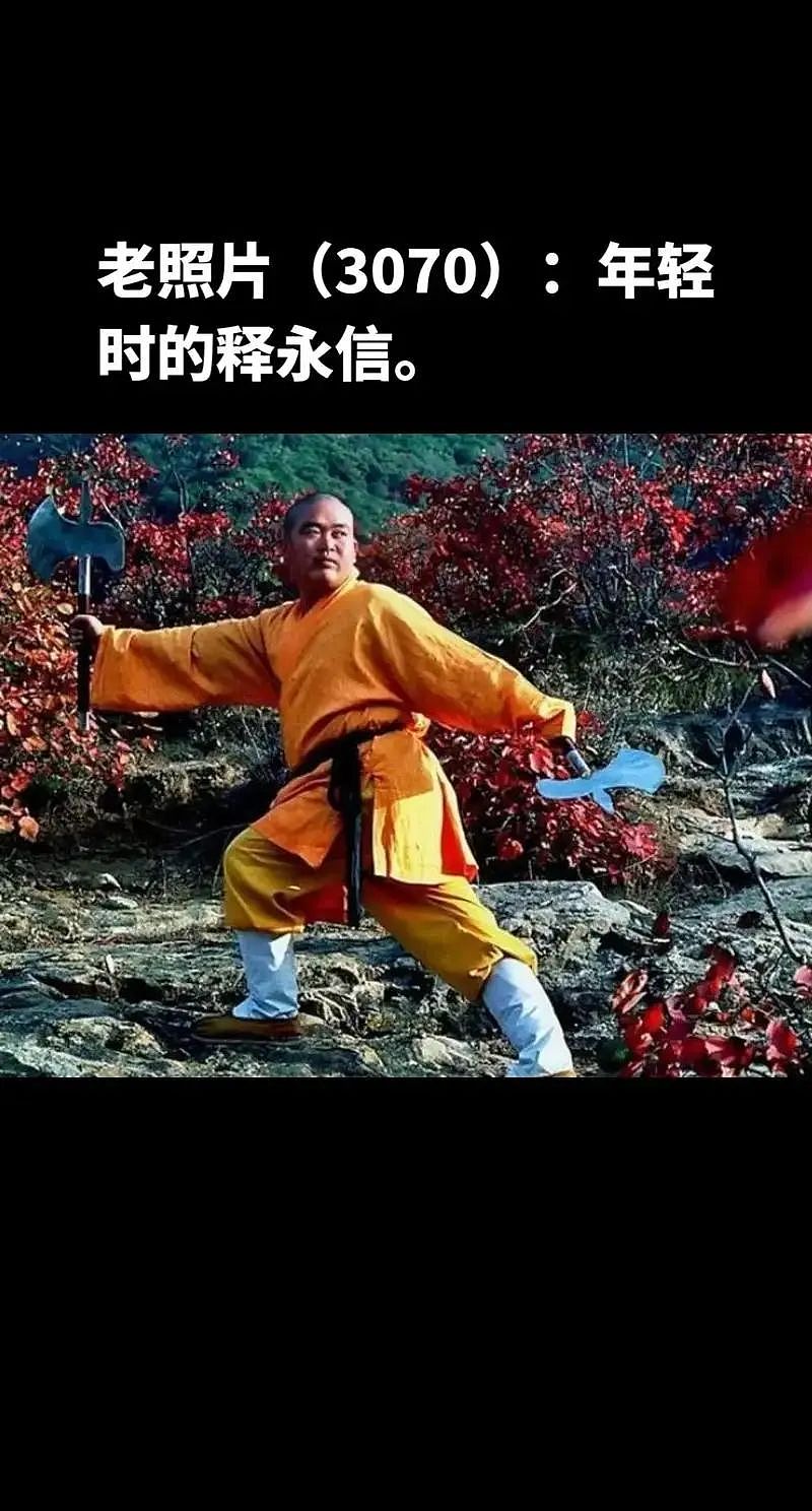 少林寺CEO释永信其人——佛与魔皆在一念之间(组图) - 3