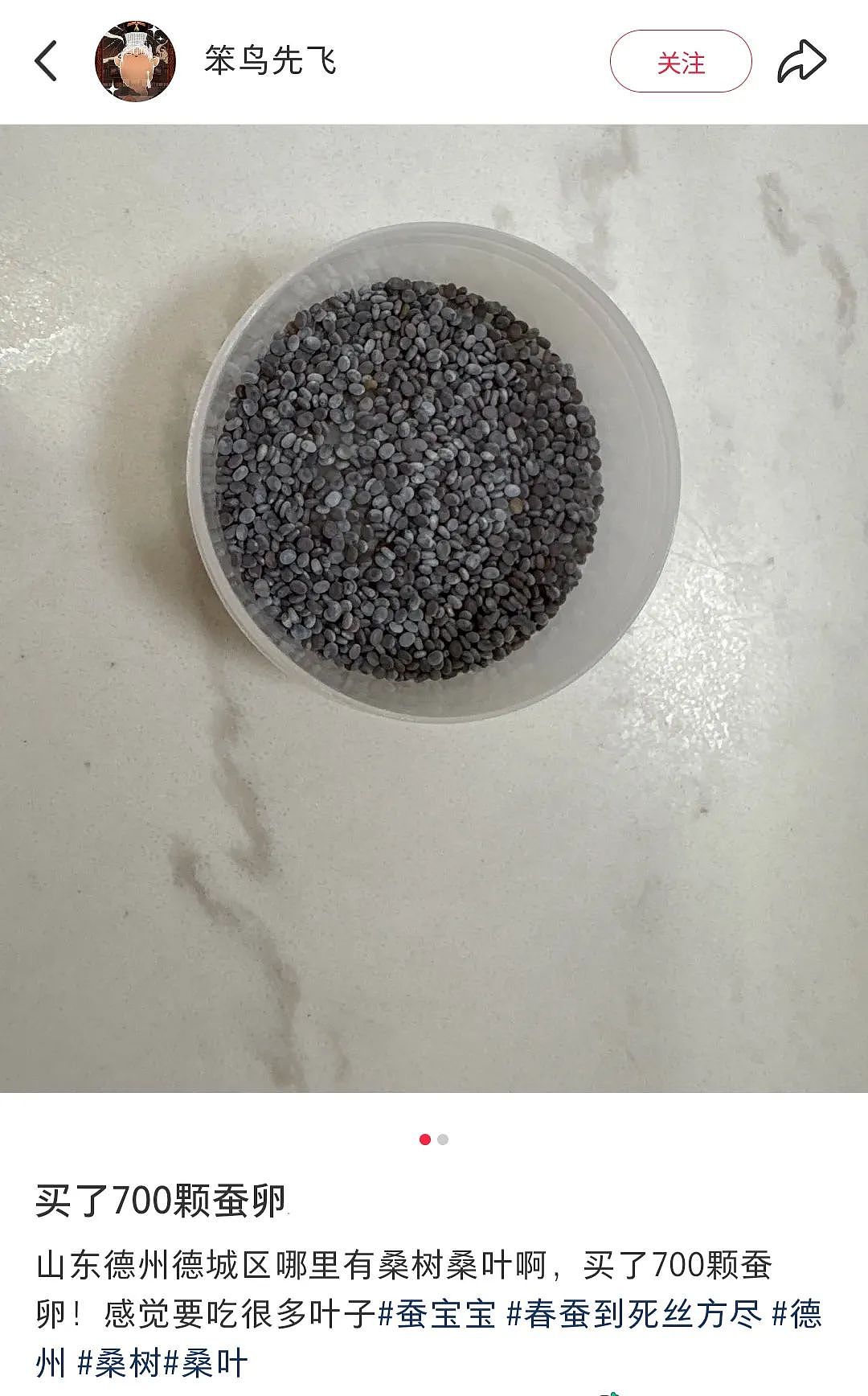 【宠物】妹子网购蚕卵,收到满满一盒?还以为碰上了良心商家,谁知评论区炸锅了:拿去送人啊啊啊(组图) - 4