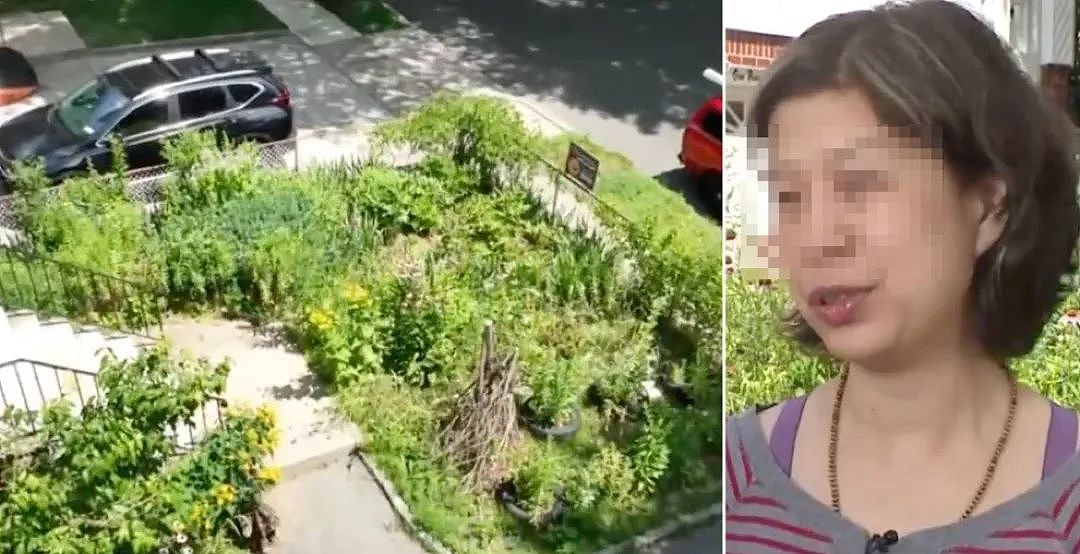 纽约华人家庭院子被嫌“太丑”，房主直接收到2000美元罚单（组图） - 1